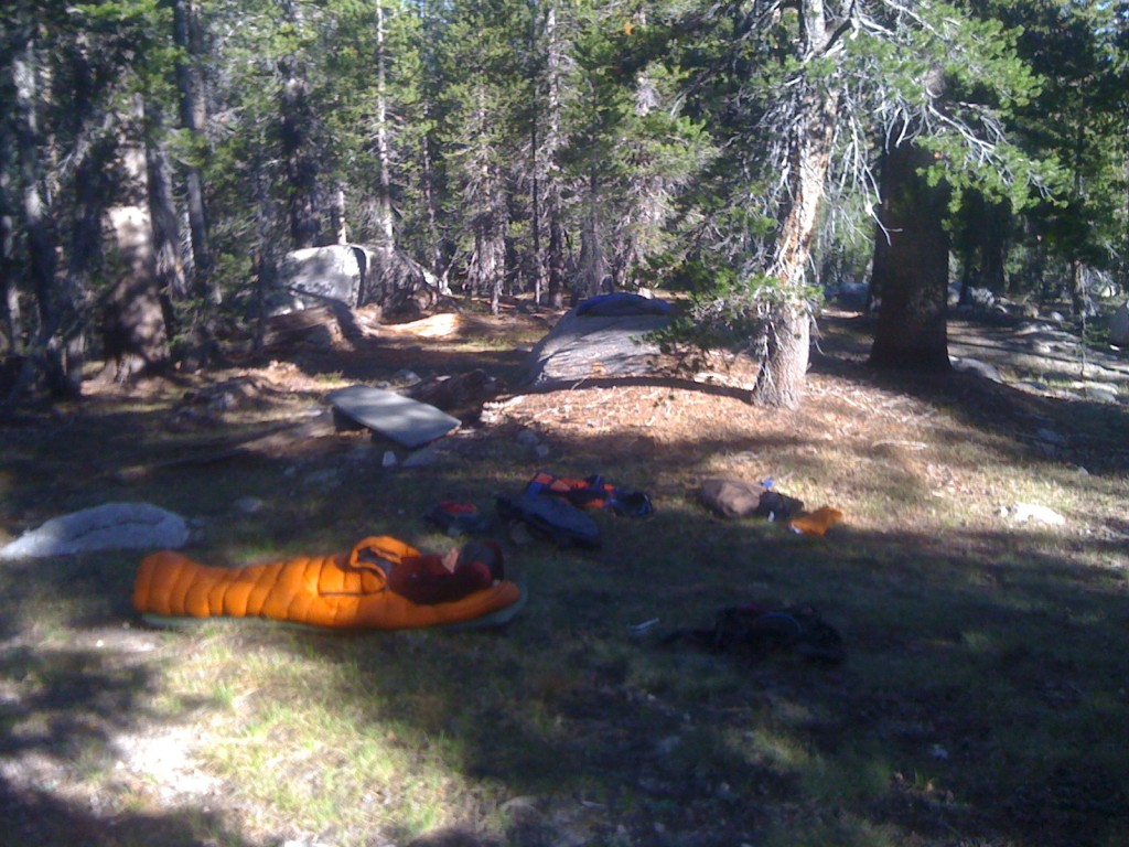 Niels ligt wakker te worden op onze slaapplek in het bos in Tuolumne Meadows